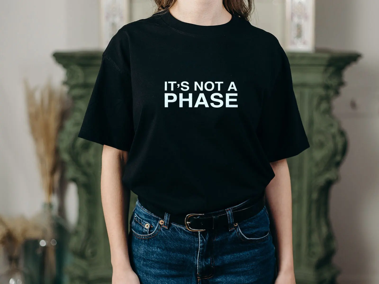 It’s Not A Phase Tee, Funny Alternative Top Heavyweight Unisex Gothic Crewneck T-shirt, Emo Teeshirt