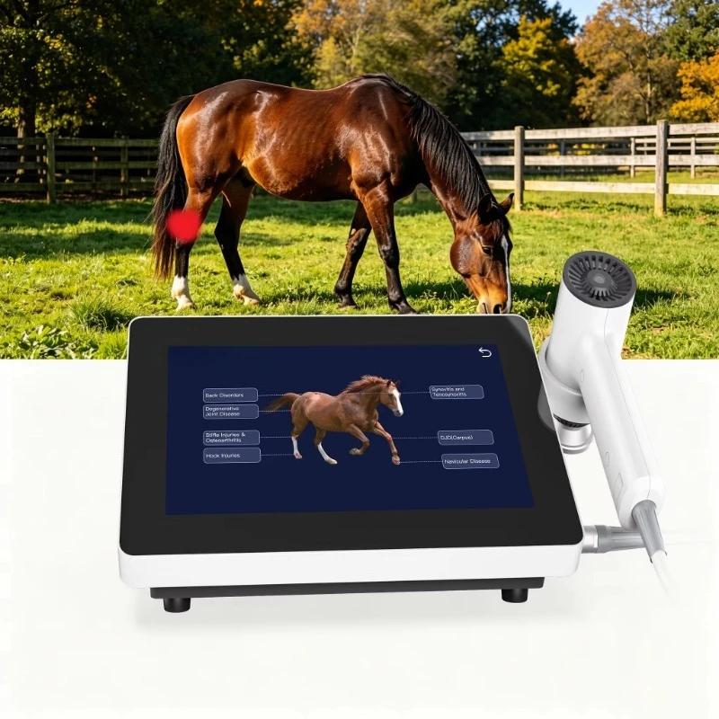 Por  Horse Therapy Machine for Horse Muscle and Joint Care