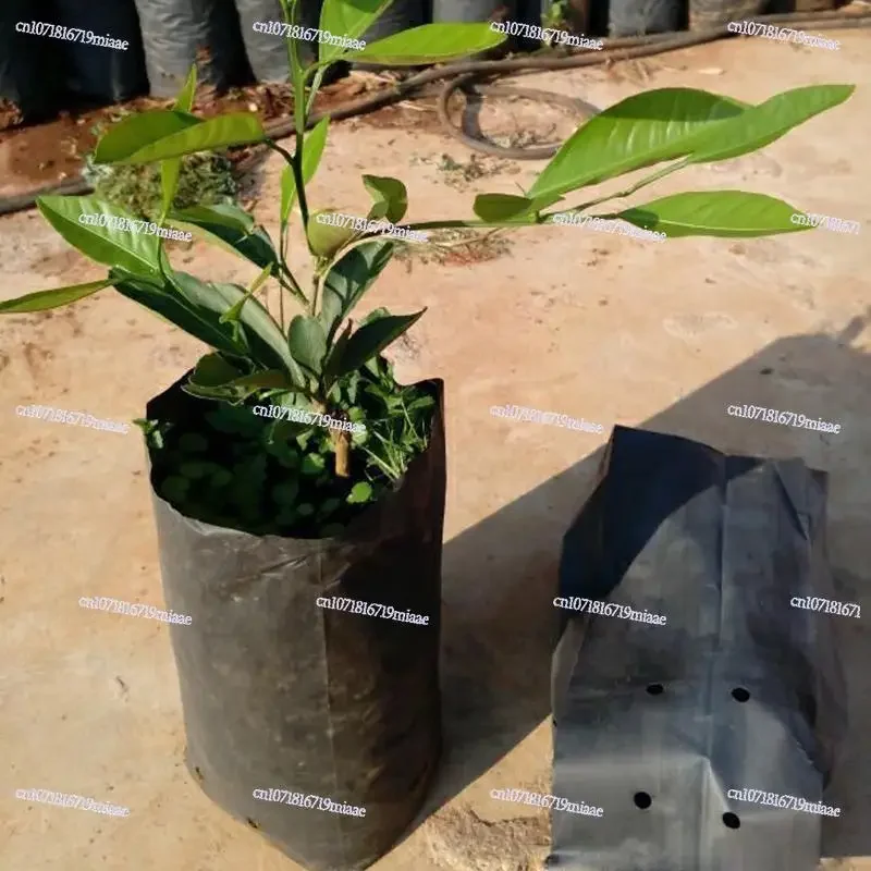 100Pcs Thicken Plant Grow Bags Seedling Pots Eco-Friendly Garden With Breathable Holes Black Planting Bags PE Nursery Bags