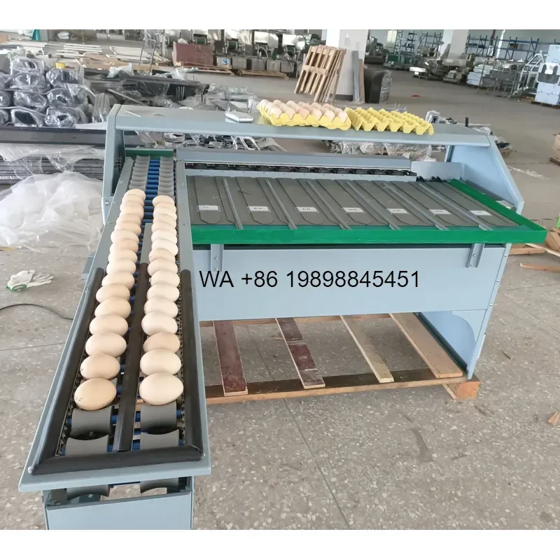 Wmwmnu for Egg Weight Weighing Sorting Grading Machinery Price Egg Weigher Sort