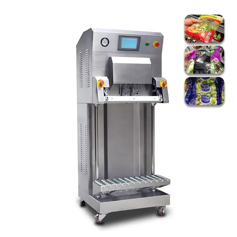 Electric Wood Rice Grain Herbs Vertical External Type Food Vacuum Packaging Machine with Larger Packing Bag and Chia Case