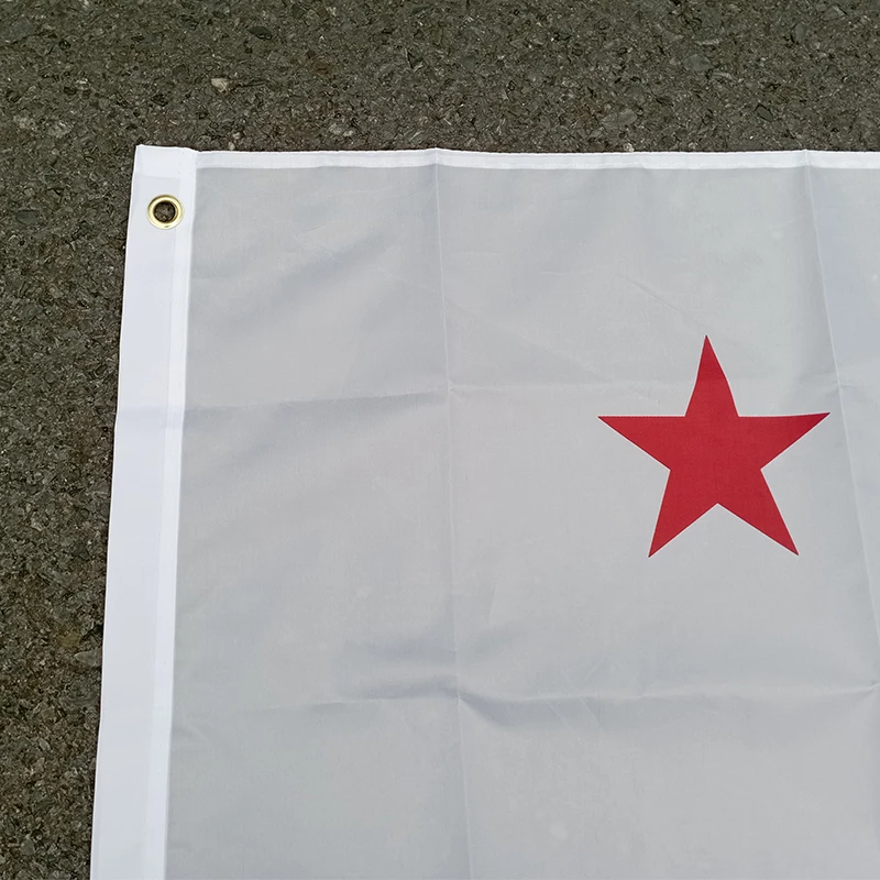 aerxemrbrae 90X150 cm Nuova bandiera della California doppia faccia stampata in poliestere appesa Nuova bandiera della Repubblica della California per la decorazione