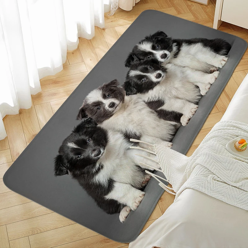 

Veranda Kitchen Mat Border Collie Bedroom Carpets for Living Room Rug Aesthetic Room Decorating Items Modern Home Decoration