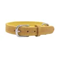 yellow collar