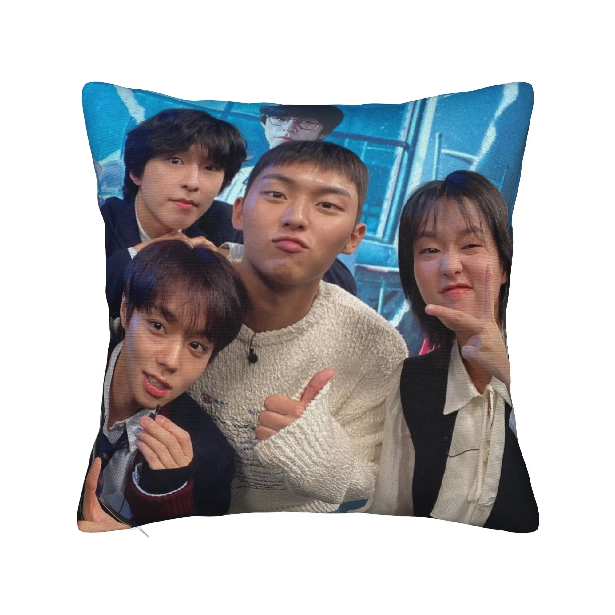 Hot Kdrama Weak Hero Class Pillow Case  Cute Funny Pillow Cover Soft Pillowcases For Living Room Chair