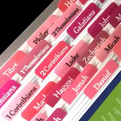 Rose Pink Bible Tabs Large Print Laminated Bible Tabs for Women and Girls Easy to Read Bible Book Tabs for Study Bible Index Tab