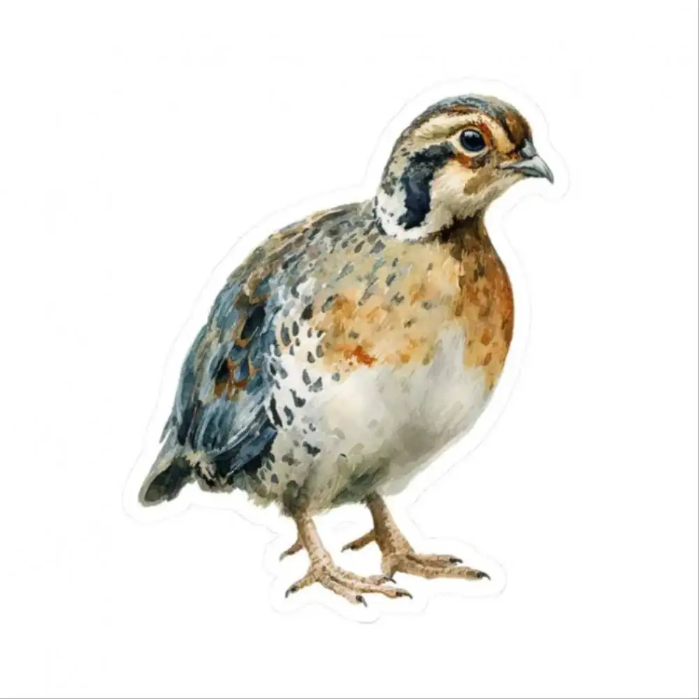 Quail Sticker Bird Stickers Laptop Decor Journaling Additions Quail Design 2d F Waterproof Stickers For Decorating Car Windows M