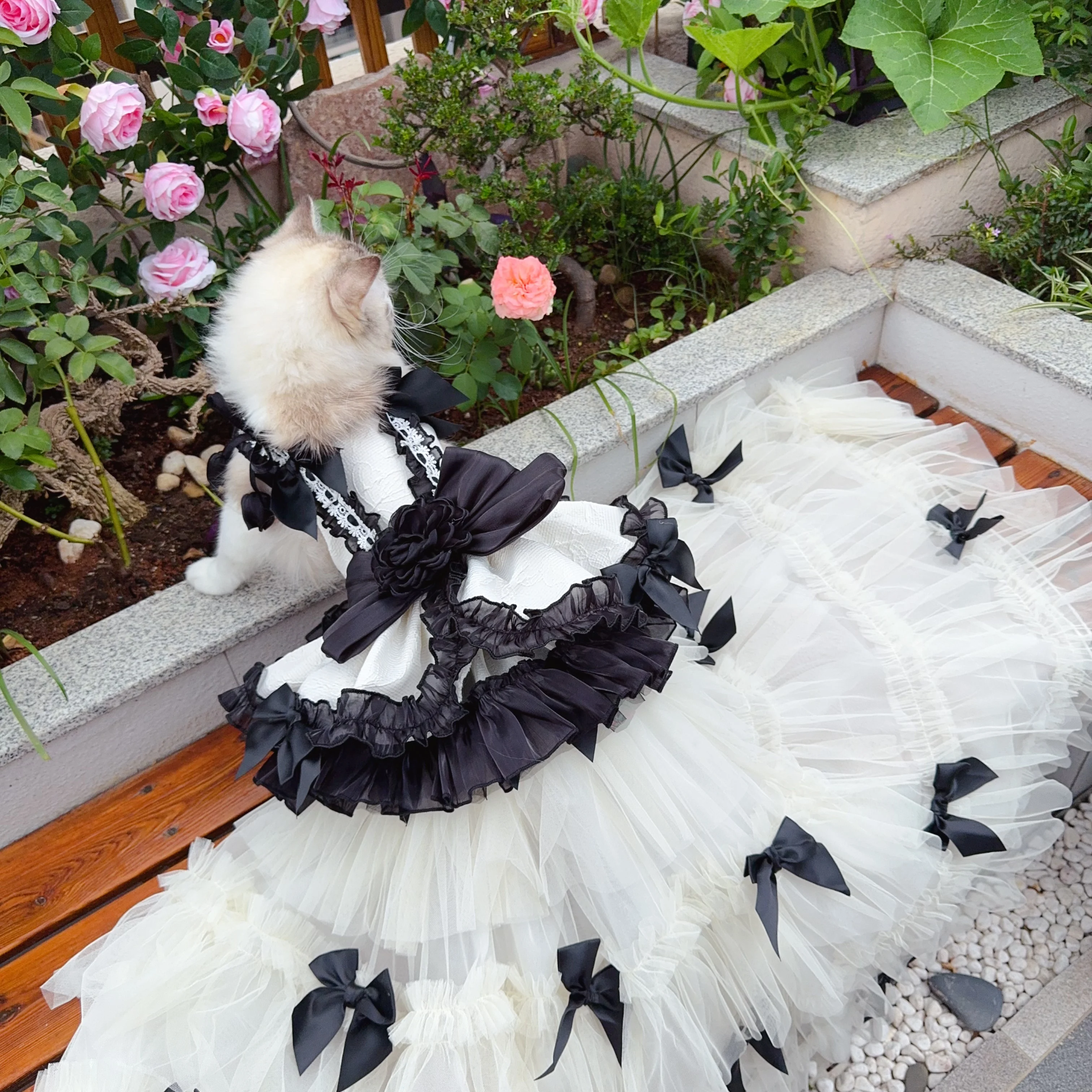 

Elegant Black/Green Tulip Garden Pet Wedding Dress with Detachable Train - Handmade Photography&Gift Ready for Small/Medium Pets