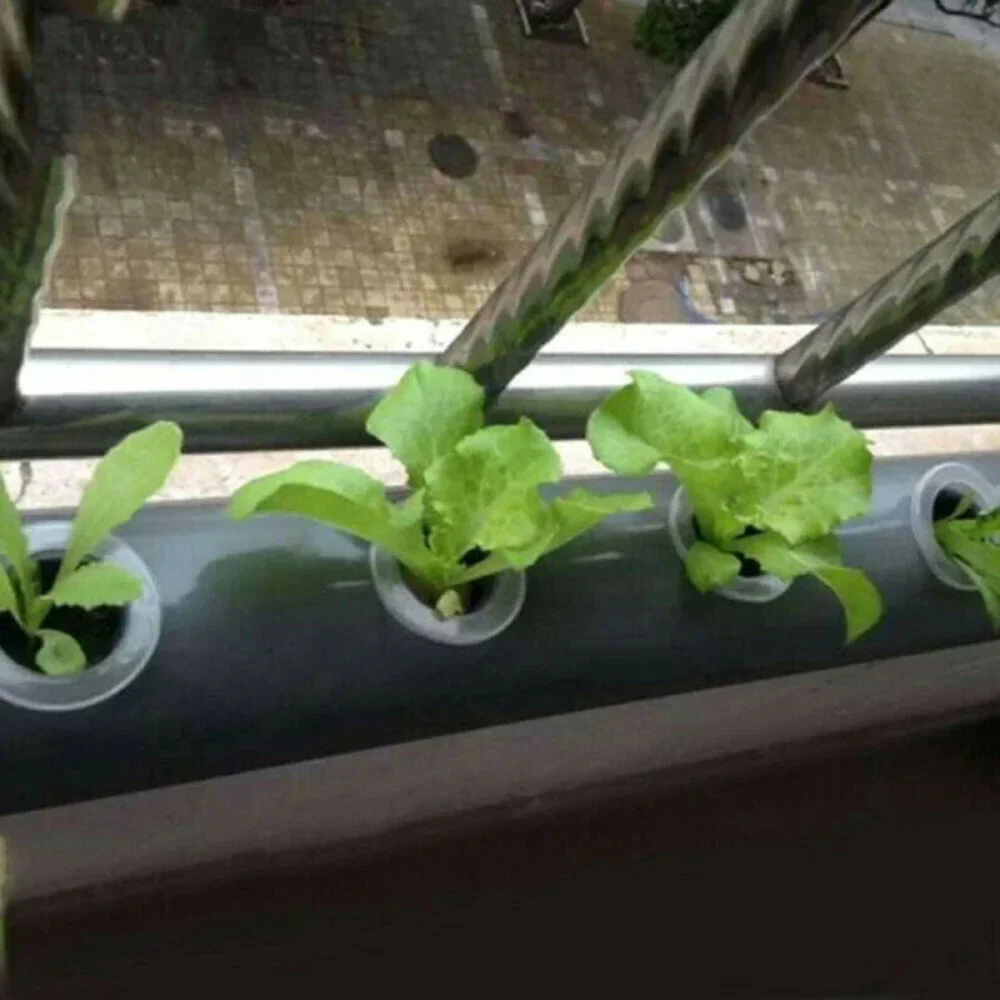 Hydroponic Basket Vegetable Net Cups Grow Vegetable Basket Cloning Cylinders Sponge For Orchids Hydroponic System
