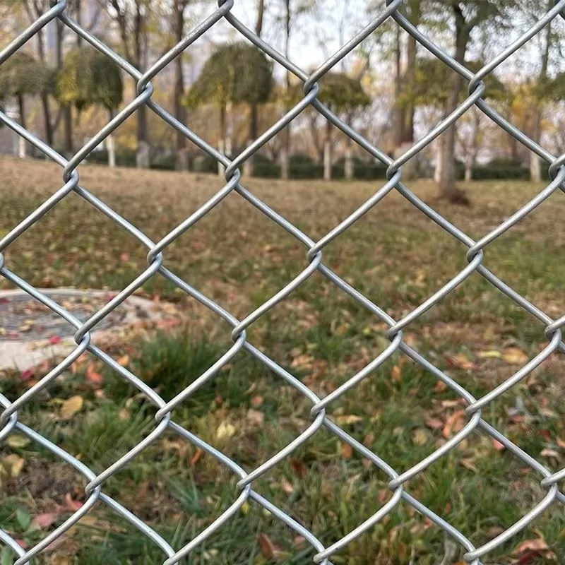 Hot Dipped Galvanized Steel Diamond Mesh Chain Link Fence for Farm Garden   2mm in Diameter Lengths: 10M 20M  30M