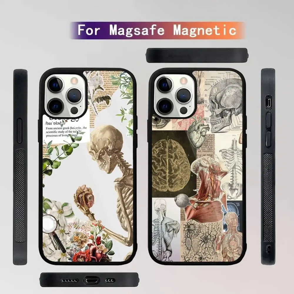 

Human Anatomy Medical Phone Case For iPhone 16,15,14,13,12,11,Plus,Pro,Max Mini Magsafe Magnetic Wireless Charging