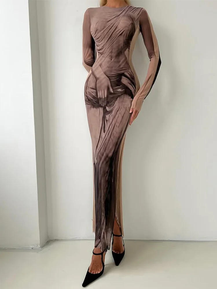 Printed Mesh Dresses For Women Fashion Sexy Streetwear O-Neck Long Sleeves Sheer Sheath Side Split Long Vestidos Robes Female