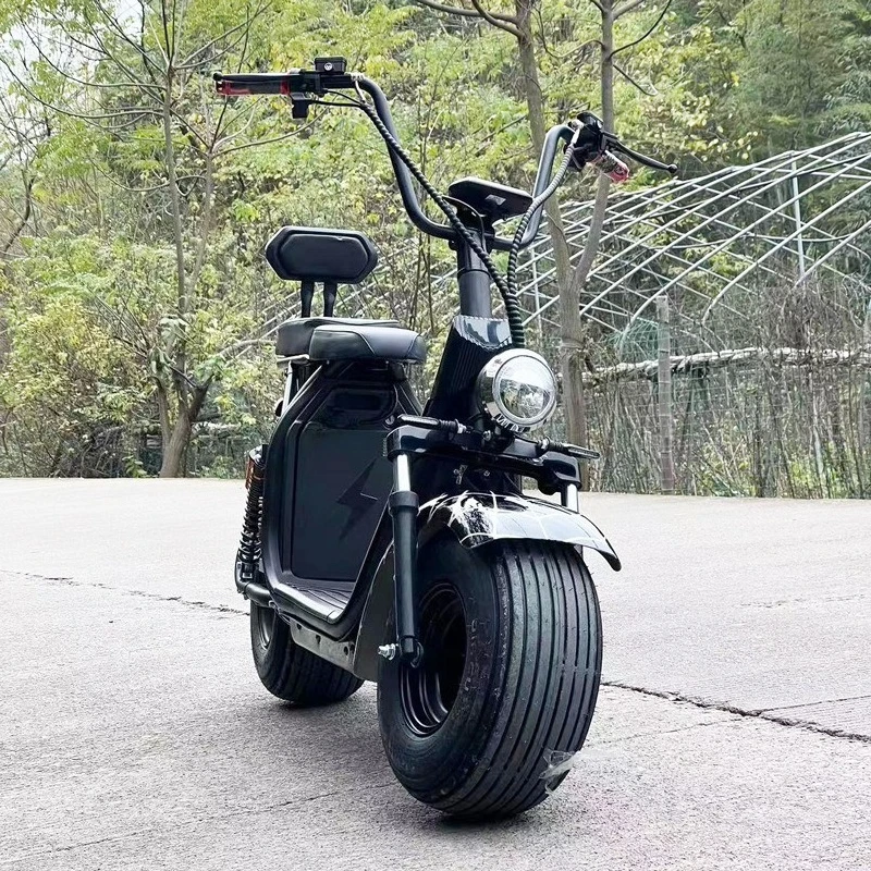 Two-wheeled large electric vehicle wide tire lithium battery car adult transportation electric motorcycle