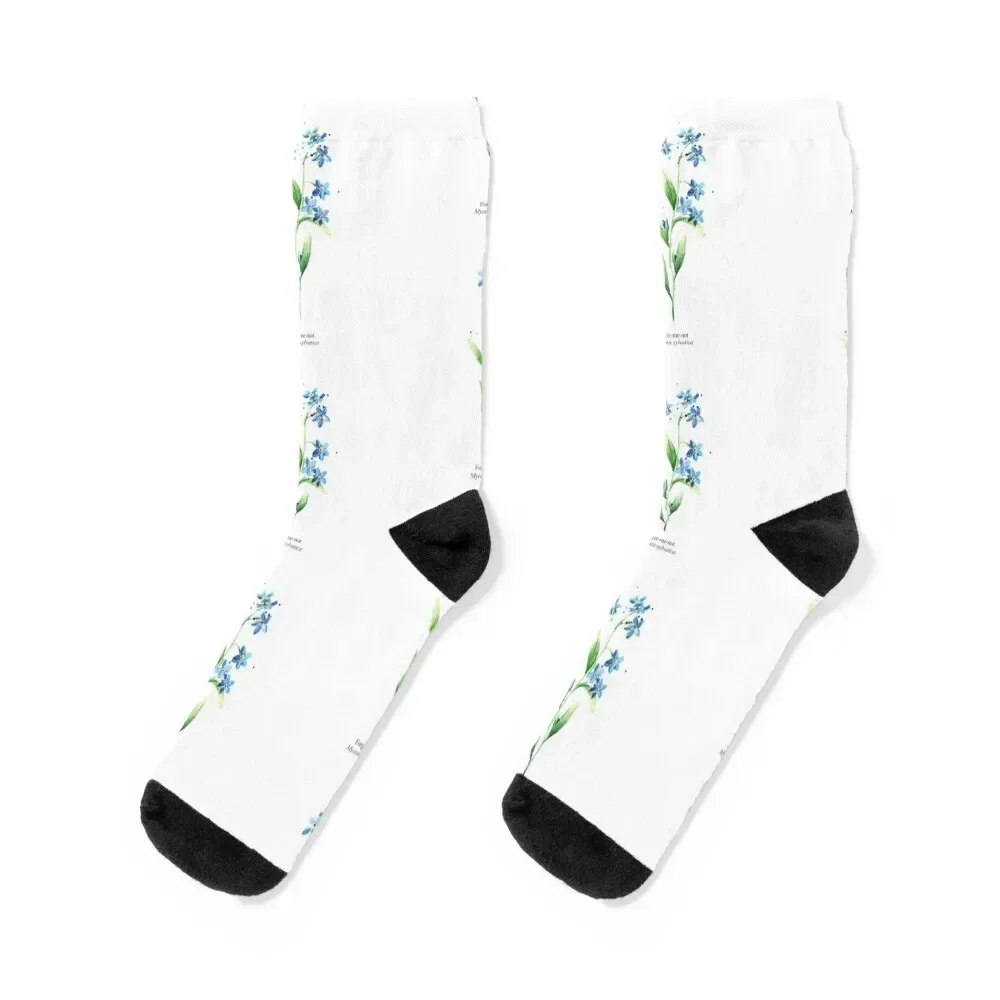 Forget-Me-Not - Myosotis Sylvatica Socks FASHION sheer funny gift Mens Socks Women's