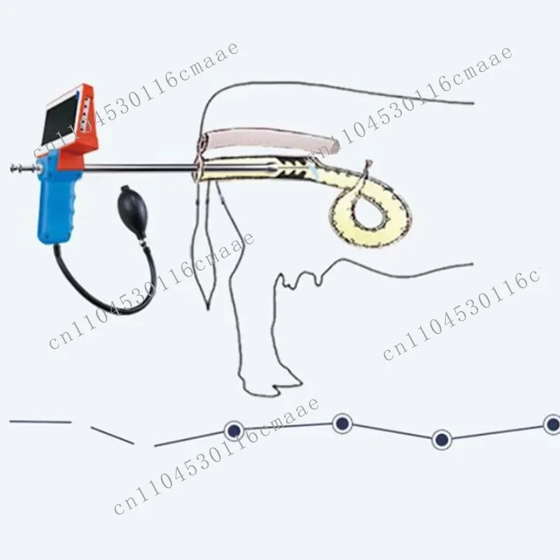 Digital artificial insemination is used in goat and sheep veterinary insemination equipment