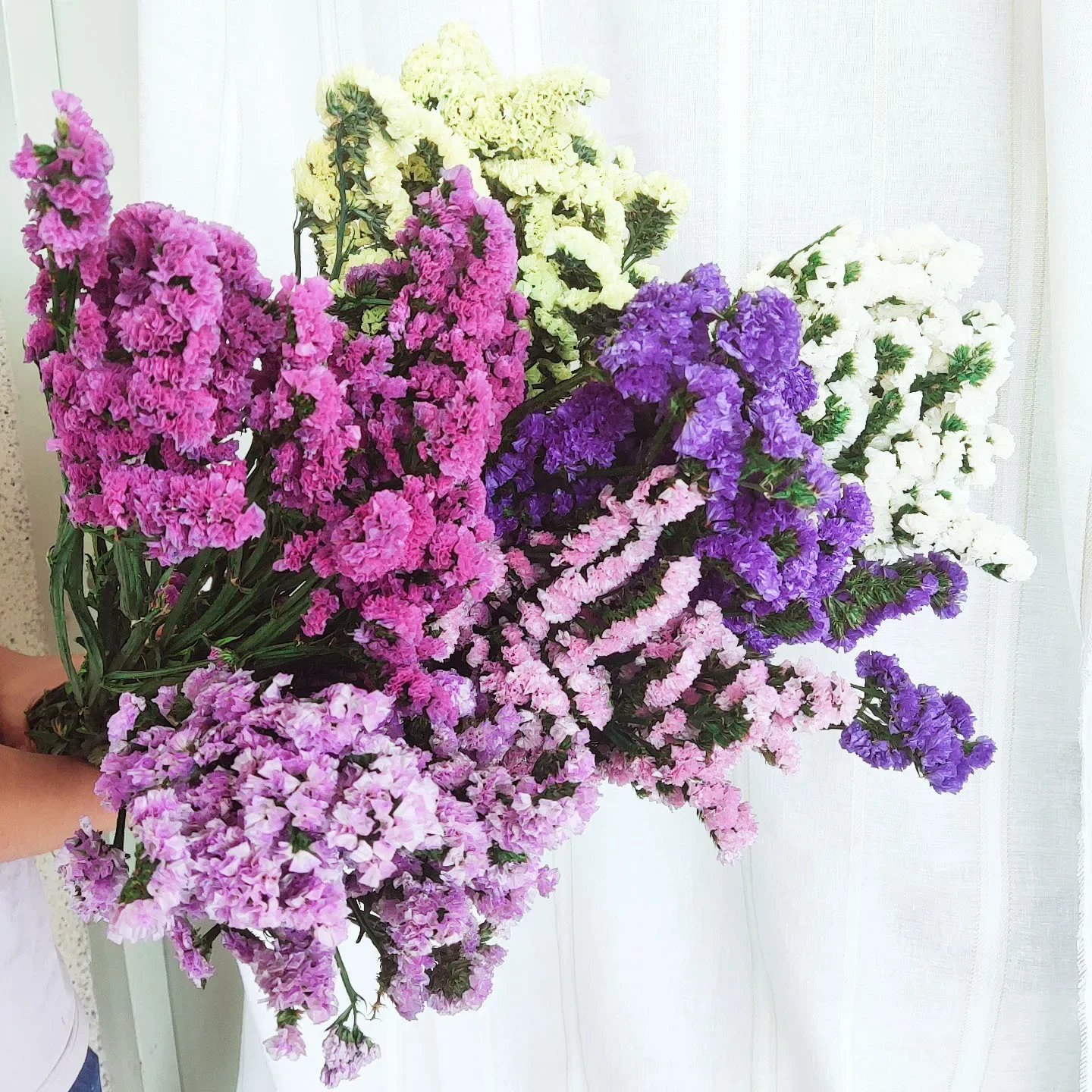 Nostalgia - Infused Natural Dried Forget - Me - Not and Sea Lavender Bouquet: Perfect for DIY Home Decor and Romantic Weddings