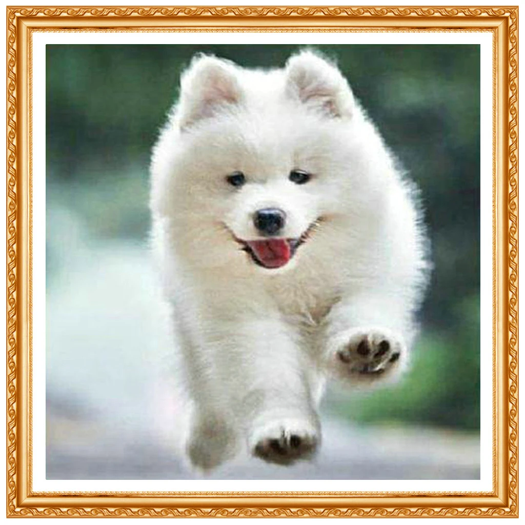 FULL Diamond painting cross stitch kit 3D Diy diamond embroidery diamond  pattern home decor Samoyed dog kids gift