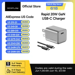 ECOFLOW USB C Charger, Rapid 20W/30W/65W GaN Type C Charging Block with Foldable Plug, Compatible with iPhone((USBC Cable Inclu)