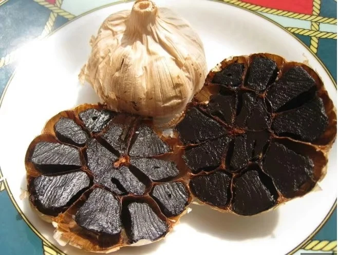FOODLINE Black Garlic Fermentor Adjustable Humidity Temperature Black Garlic Fermentor For Workshop Processing