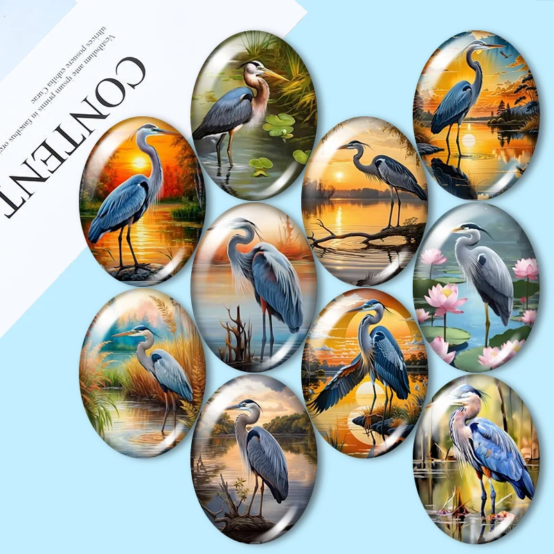 Elegant bird painting 10pcs mixed 13x18mm/18x25mm/30x40mm Oval photo glass cabochon demo flat back Making findings