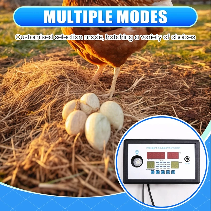 W9002 Termostato per incubazione intelligente con rotazione automatica delle uova DC12V Incubatrice per letti d'acqua domestici