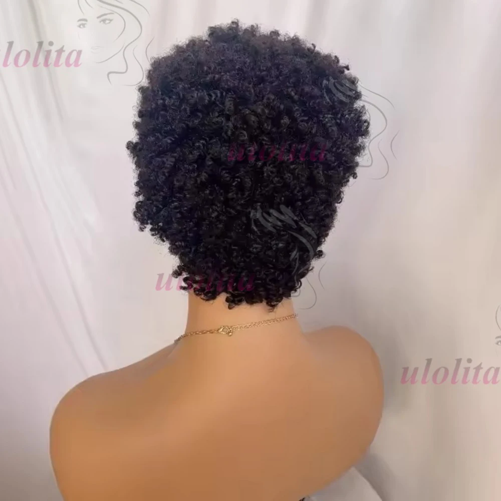 Premium 13x4 Lace Front Kurze Caterpillar Lockige Echthaarperücke in Naturfarbe aus brasilianischem Remy-Haar, geeignet für den täglichen Gebrauch von Frauen. – Detail 5
