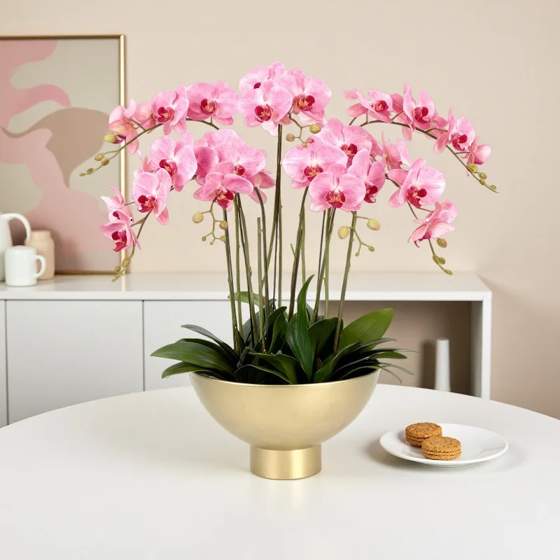 wide-mouth large flower pot, home desktop ornament, phalaenopsis orchid planter, holiday decoration, floral arrangement vase