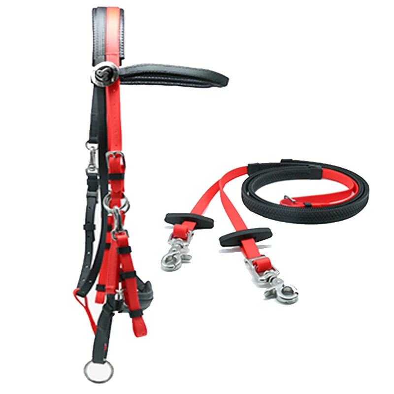 Brida de caballo de acero inoxidable para maratón de resistencia, banda nasal acolchada de PVC, banda para cejas, modelos de riendas, equitación ecuestre roja y verde 2