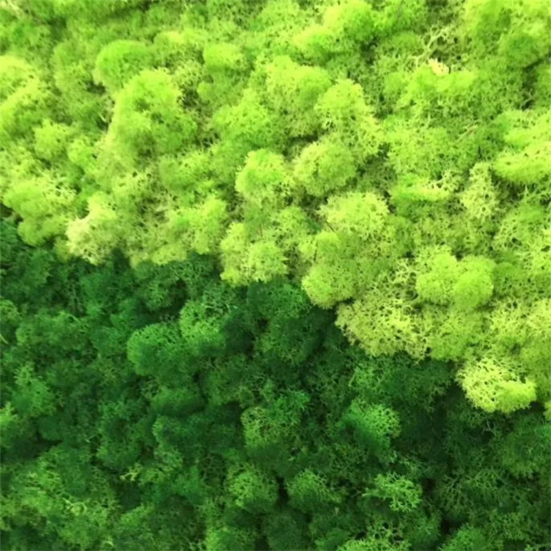 40/20g Artificial Immortal Moss Green Fake Plant for Home Garden Livingroom Greening Decor Wall Fill Flower Plant Fake Moss