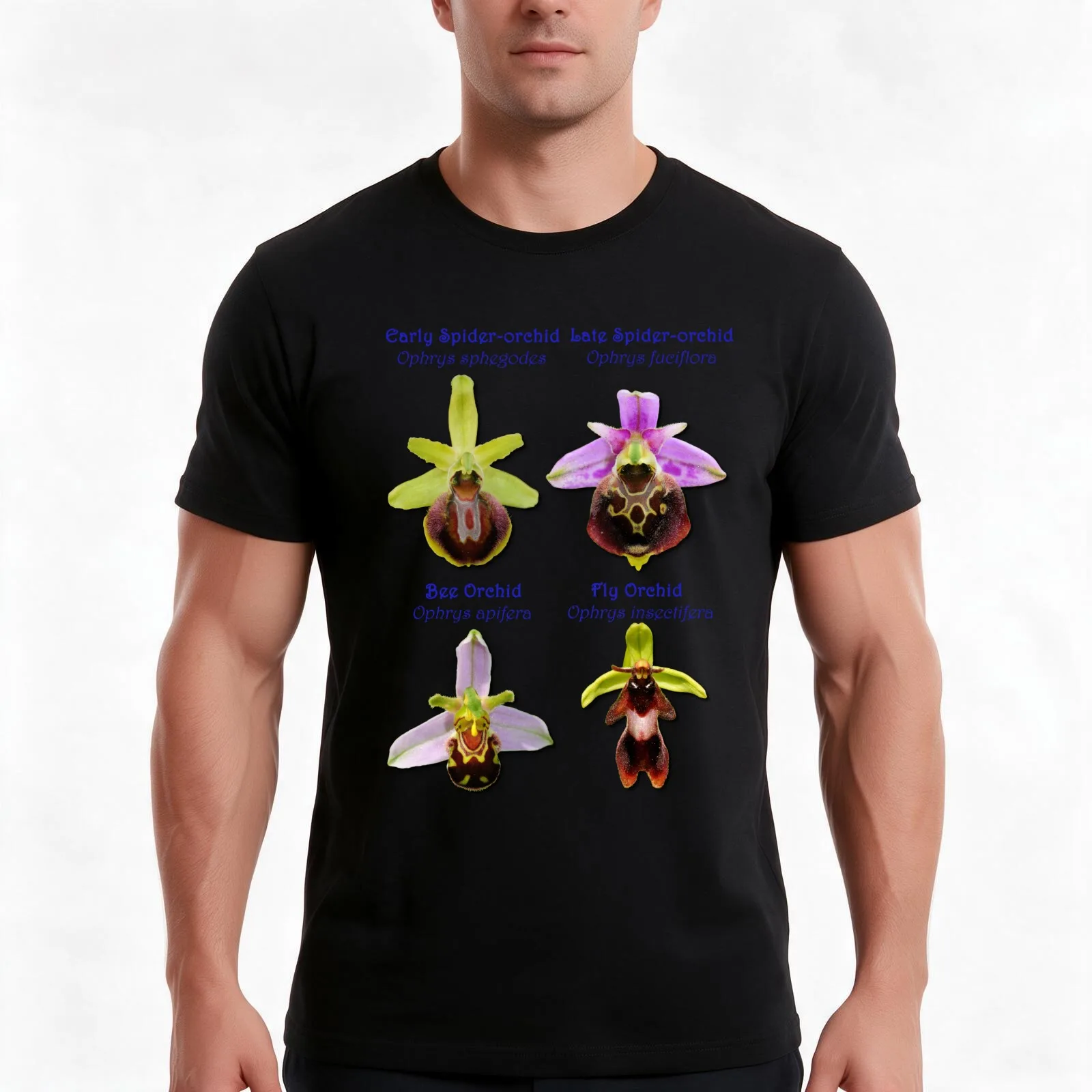 The Four British Ophrys Orchid Flowers T-Shirt, Summer Casual Cotton Tee, Oversized Streetwear Tops, Vintage Graphic Print