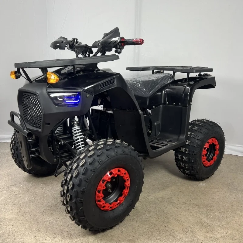 New Electric ATV Quad Bike 4 Wheeler Automatic 2WD 75-100Km/h