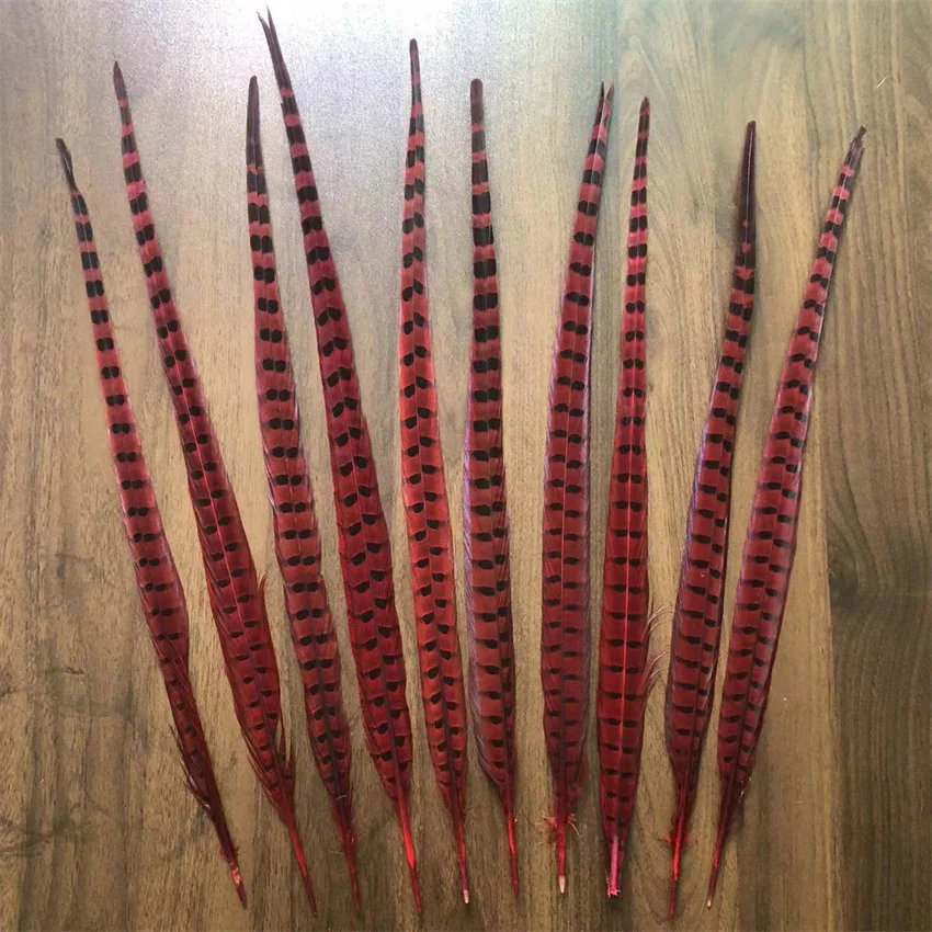 10PCS Dyed Red Ringneck Pheasant Feathers 50-55CM 20-22