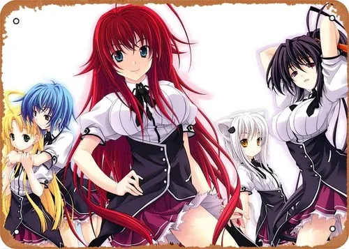 Anime-Poster High School Dxd Metallblechschild Wandkunst Dekoration