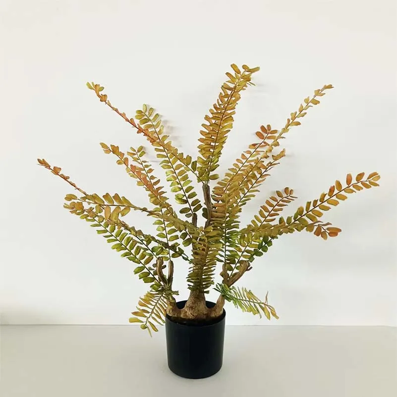 

1PCS Physical shooting of fern forest system landscape decoration single-capsule Ferns simulation foliage autumn system