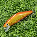 sw12 60mm 6g
