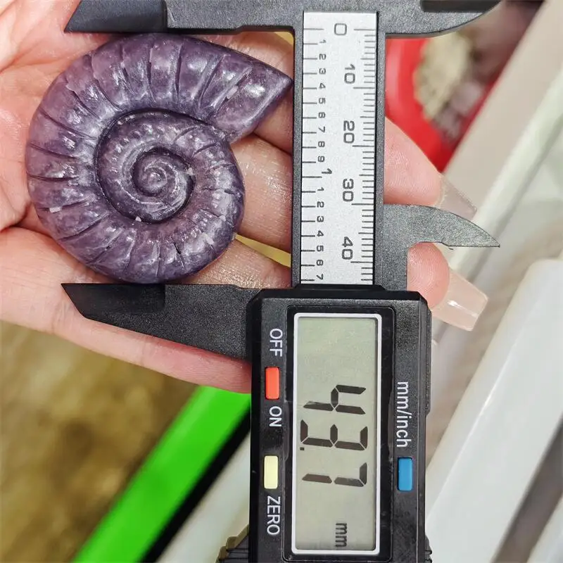 Natural Purple Mica Labradorite Conch Carving Reiki Healing Fengshui Stone DIY Holiday Crafts Gifts 1PCS