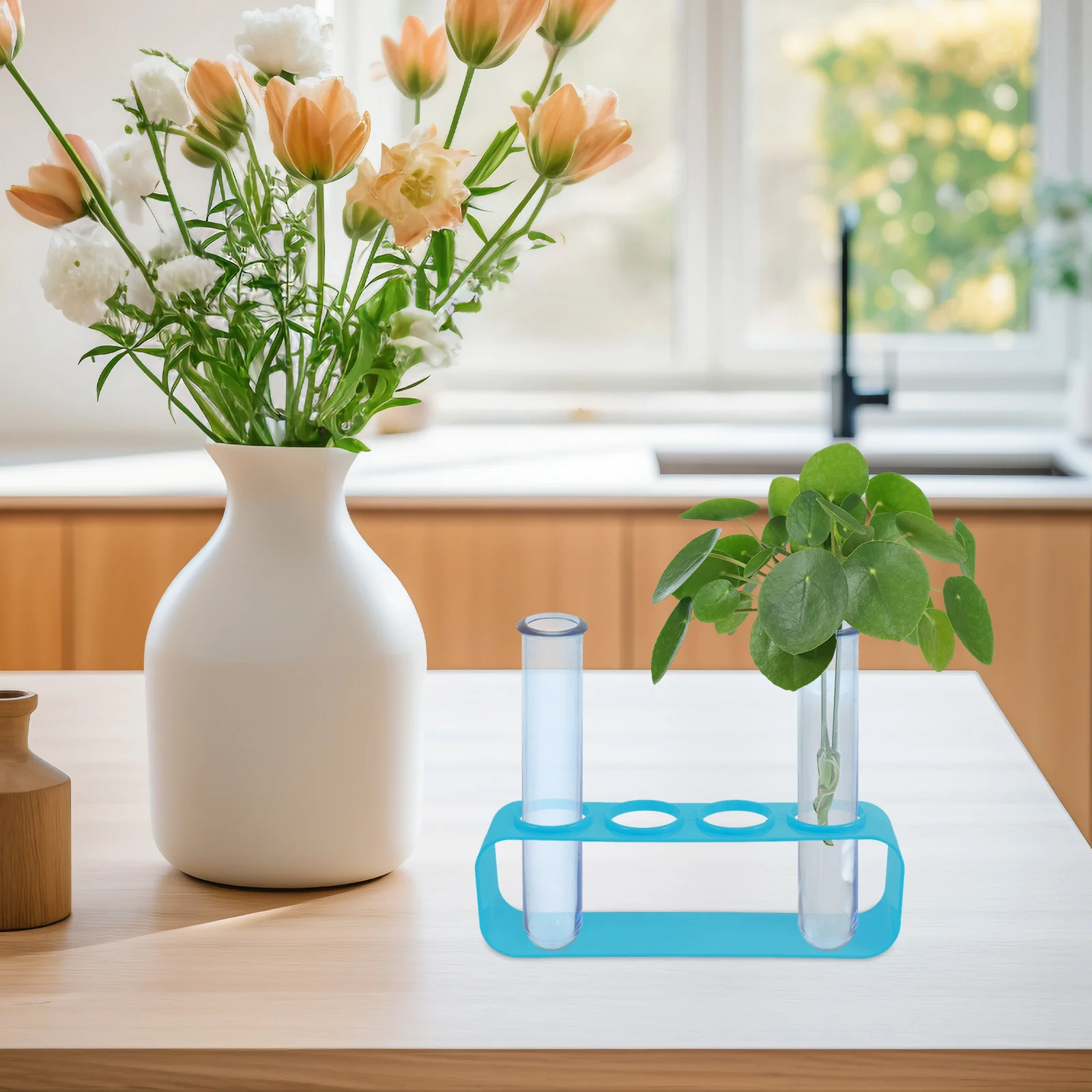 

6pcs Hydroponic Vase Set Test Tube for Propagation Terrarium and Flower Decoration