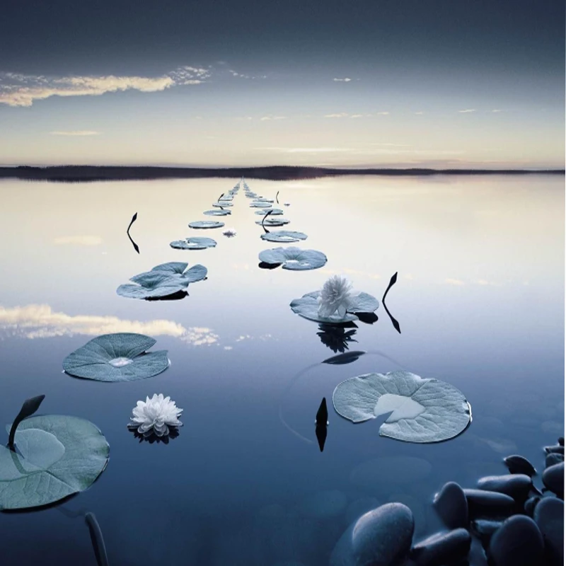 HolyBro Antenne patch a matrice verticale ad alta precisione (IP67) Strumento RC per montaggio GPS fisso in fibra di carbonio per gli appassionati di navigazione FPV