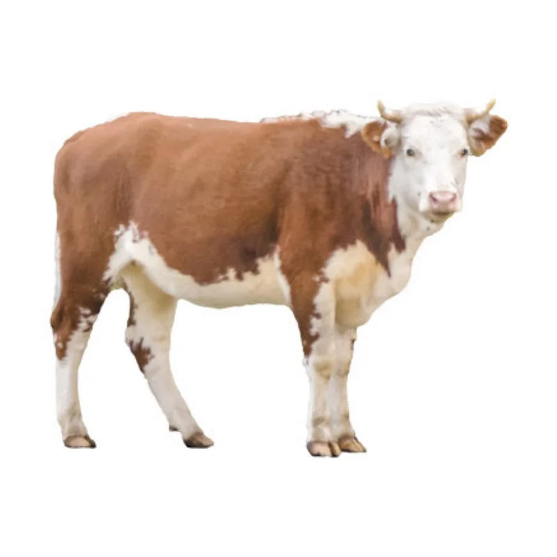 

Задний нижний рычаг для Wltoys 244016 LOSI Micro-B 1/24, металлическое обновление радиоуправляемого автомобиля, аксессуары OP, детали