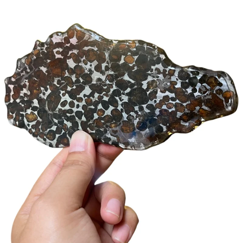 Natural Sericho Pallasite Meteorite Slice Polished Kenyan Olive Meteorite Specimen for Collection QA862