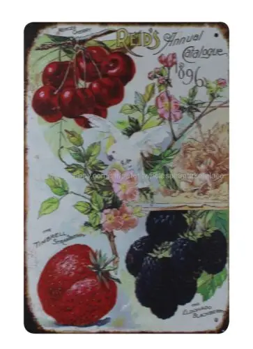 Mercer Cherry Reid's Annual Catalogue 1896 fruit berries seeds metal tin sign