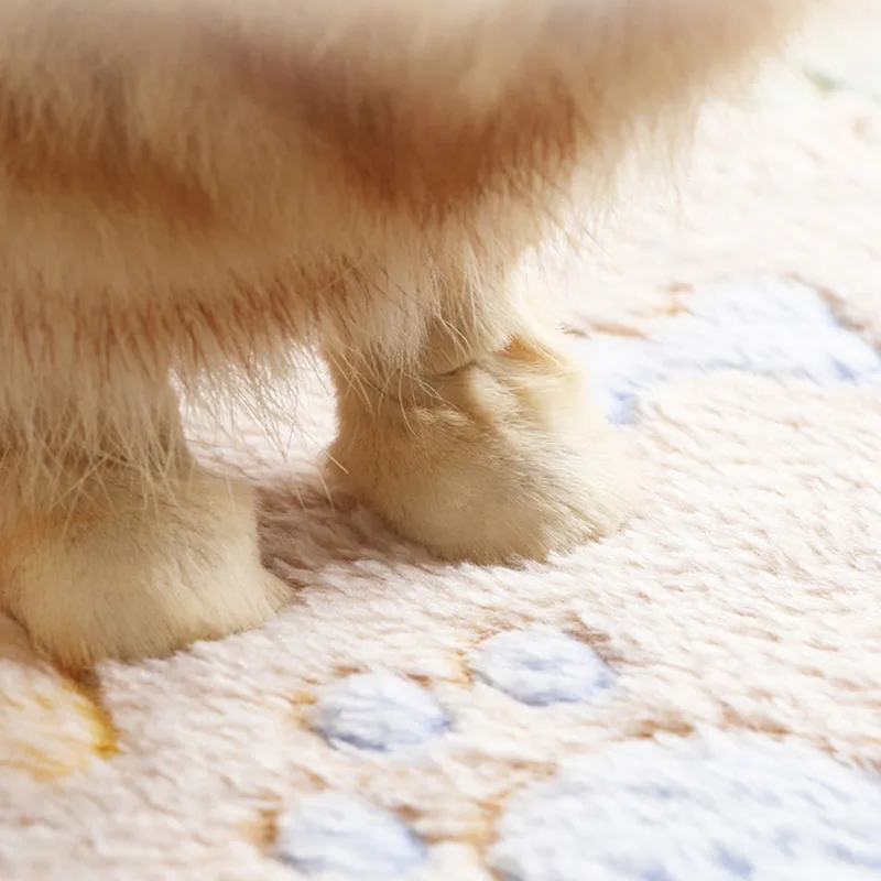 Winter Velvet Pet Sleeping Warm Blanket with Paw/Dot/Bone Pattern, Dog Cat Washing Towel, Fleece Soft Pet Blanket Pet Bed Mat