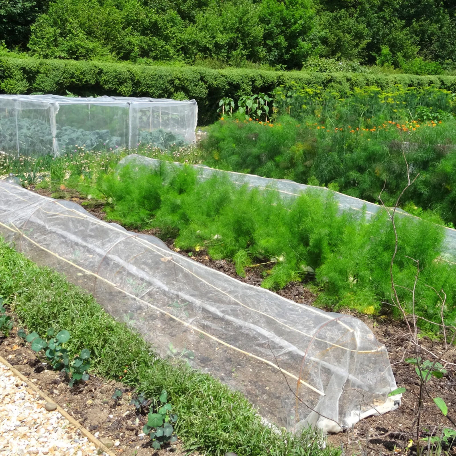 1 مجموعة الأشعة فوق البنفسجية شبكة مقاومة المعاوضة حماية النباتات حديقة الأطواق عدة لأسرّة مرتفعة حديقة شبكة المعاوضة للخضروات الفواكه #4