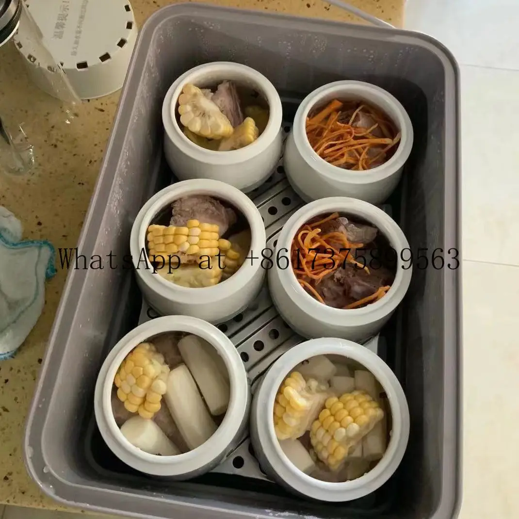 Desktop Multi Cooker with Timer & Commercial Soup Steaming Pot