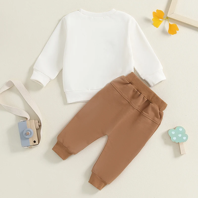 2024-12-13 Lioraitiin ฤดูใบไม้ผลิเด็กทารกเด็กพิมพ์เสื้อแขนยาวกางเกงชุดเสื้อผ้า