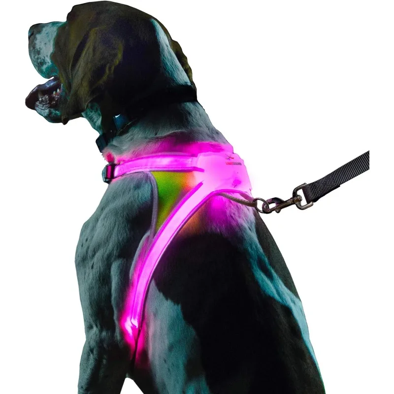 LightHound – Revolutionary Illuminated and Reflective Harness for Dogs Including Multicolored LED Fiber Optics