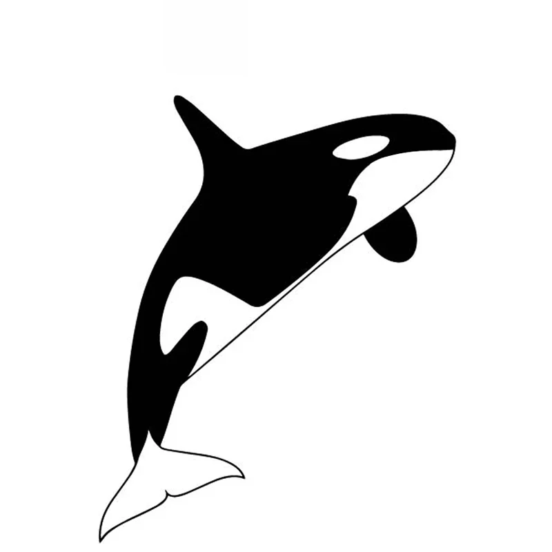

Cute Whale Animal Cartoon High Quality Car Stickers Personality Pvc Car Window Waterproof Decals Black/white, 16cm*13cm