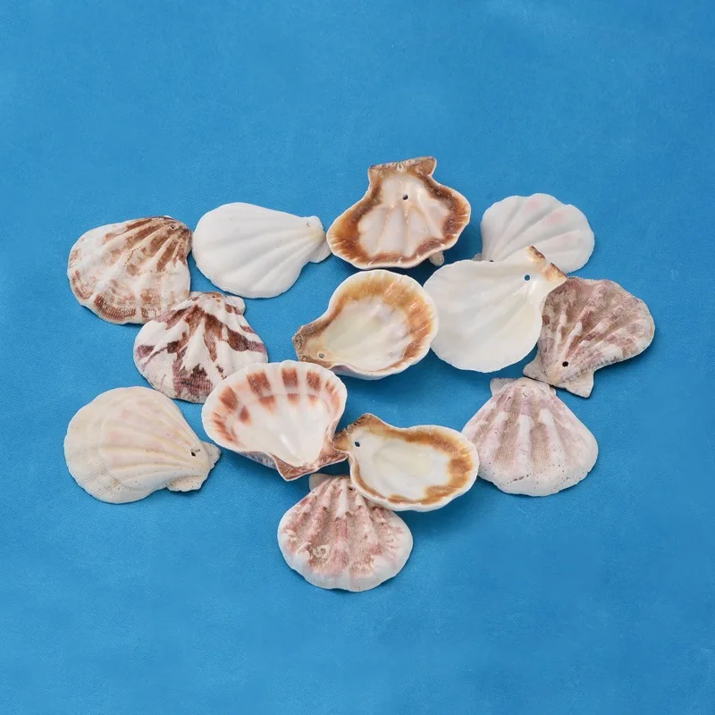 Scallop Shell Beads Sea Shell Beads Dyed Mixed Color 32~45x29~42x6~7mm Hole: 2mm 90pcs/500g