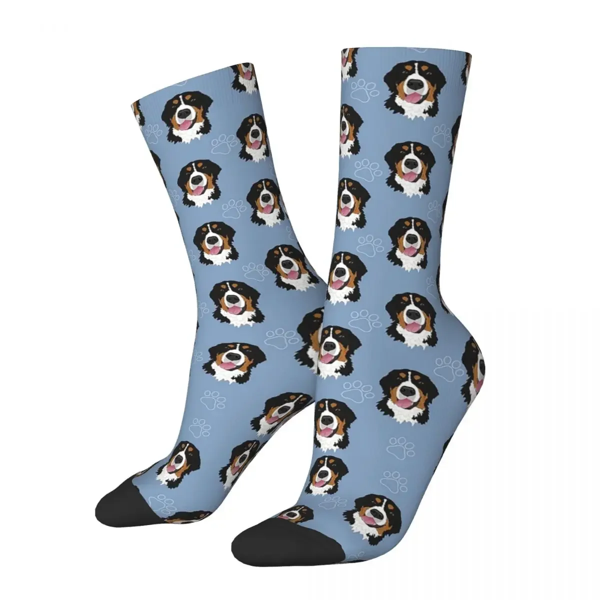 Bernese Mountain Dog Pattern-blue Socks Harajuku Super Soft Stockings All Season Long Socks Accessories for Unisex Birthday Gift