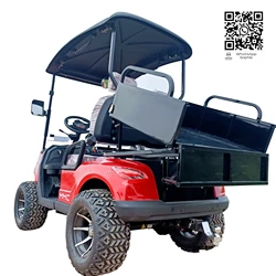 Chinese Cheap 48V/3.7KW 2 Seater 30% Climbing Slope Mobility Scooter Electric Hunting Buggy Golf Cart For Adults